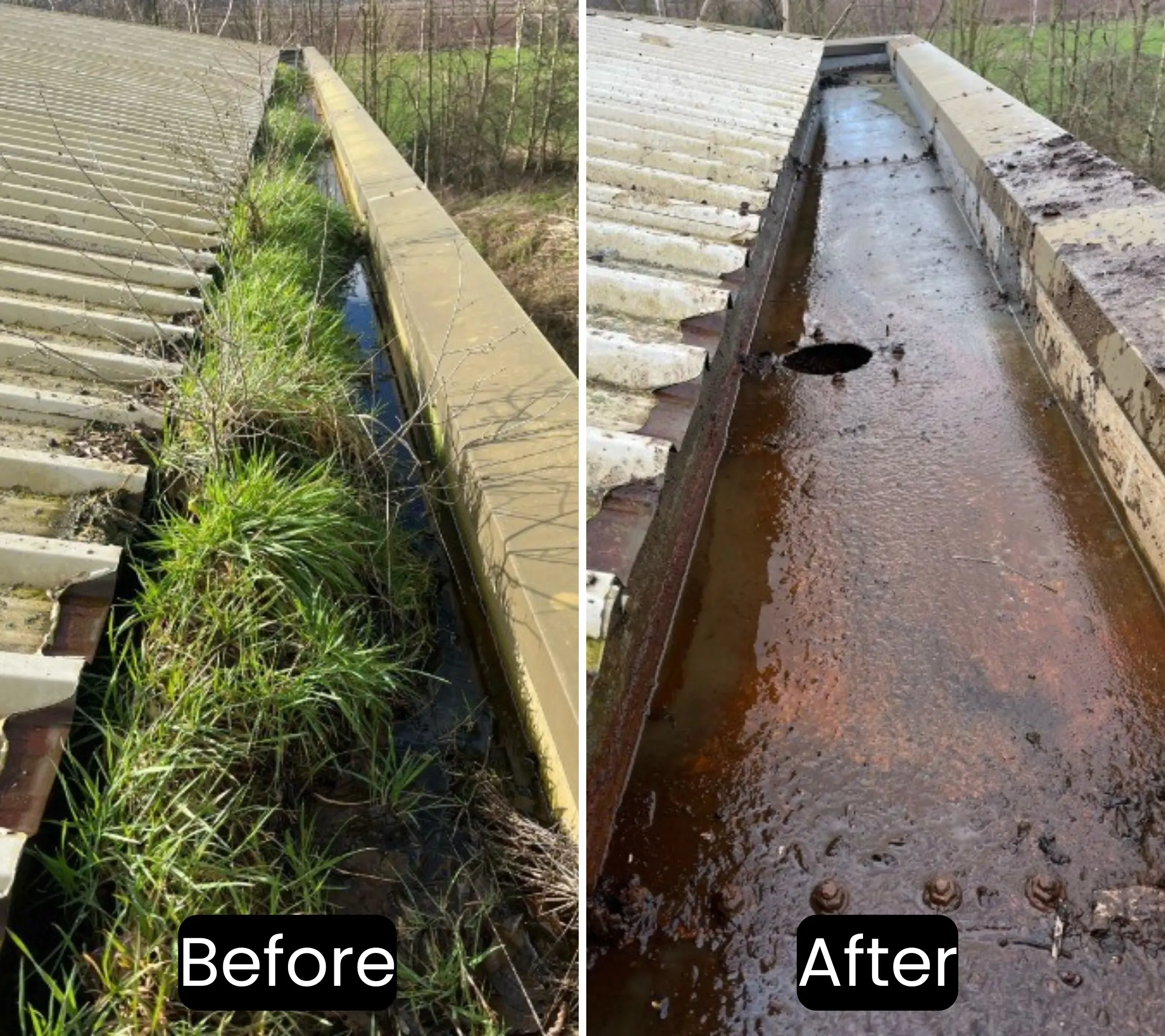 Commercial gutter cleaning in Hillington